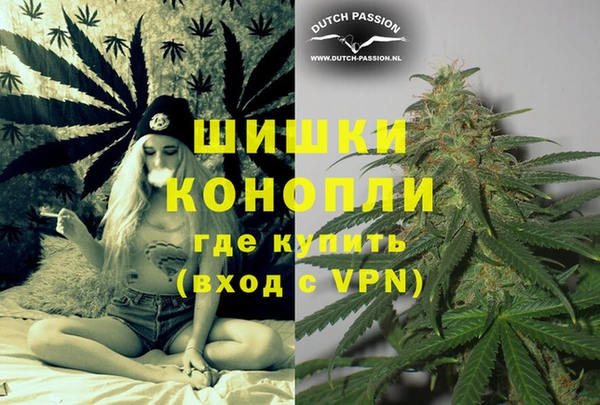 шишки Покров